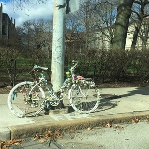 Meet your Posher, Sydney